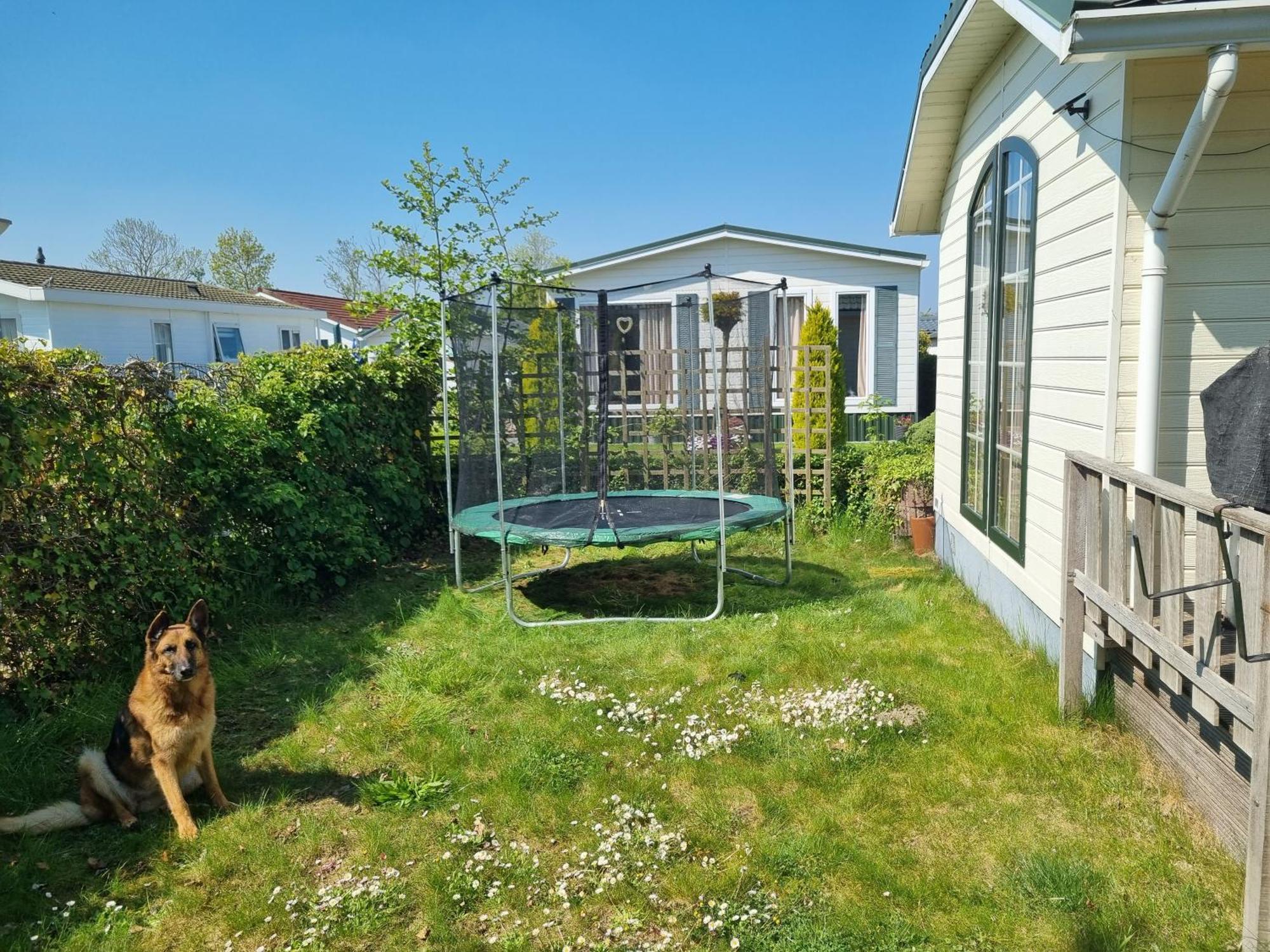 Vakantiehuis In Zeeland Sint Annaland Cameră foto